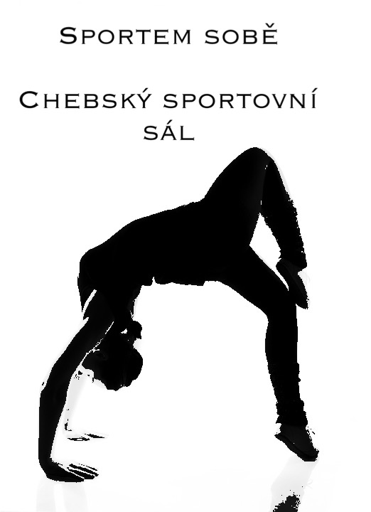 Logo projektu Sportem sobě - chebský sportovní sál