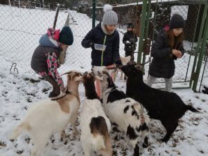 Kontaktní minizoo