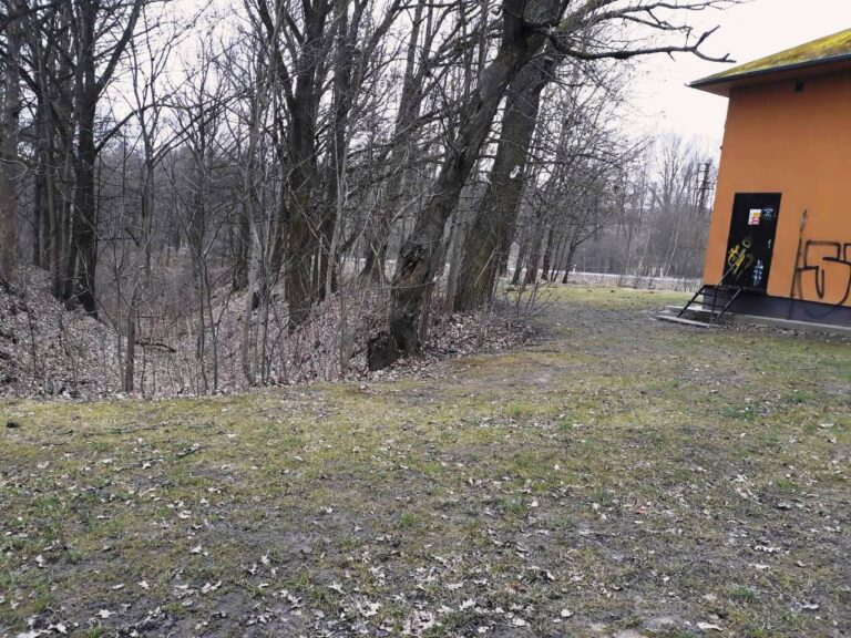 Foto rokle pro sportpark